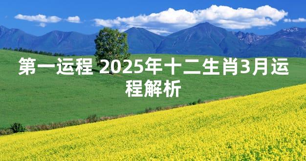 第一运程 2025年十二生肖3月运程解析